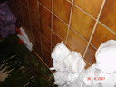 Foto Nr. 12
